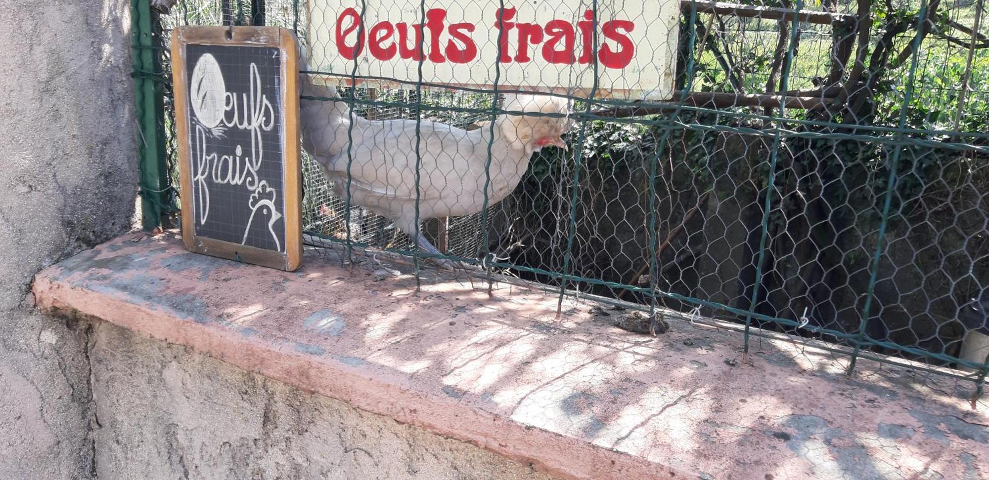 Les Ecrins Apartment Les Mages Ngoại thất bức ảnh